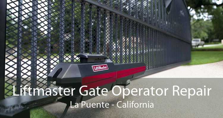 Liftmaster Gate Operator Repair La Puente - California